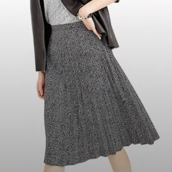 J. Crew Dresses & Skirts - J. Crew Pleated Polka Dot Skirt - Size 2